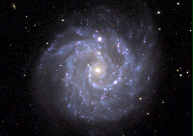 Gangly Spiral Galaxy NGC 3184