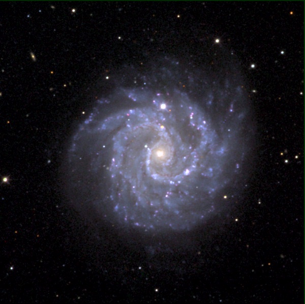 Gangly Spiral Galaxy NGC 3184