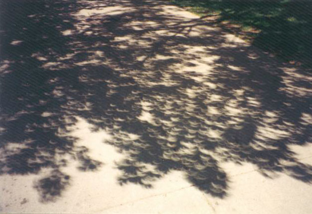 The Eclipse Tree