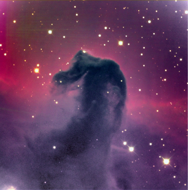 The Dark Horsehead Nebula