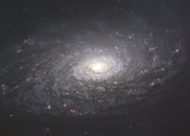 M63: Галактика Подсолнух