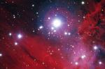 NGC 2264: zvezdy, pyl', i gaz 