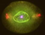 NGC 6826: Мигающий Глаз 