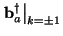 $\displaystyle \left.{\bf b}^\dagger_{a}\right\vert _{k=\pm 1}$
