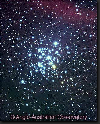 NGC 3293: A Bright Young Open Cluster