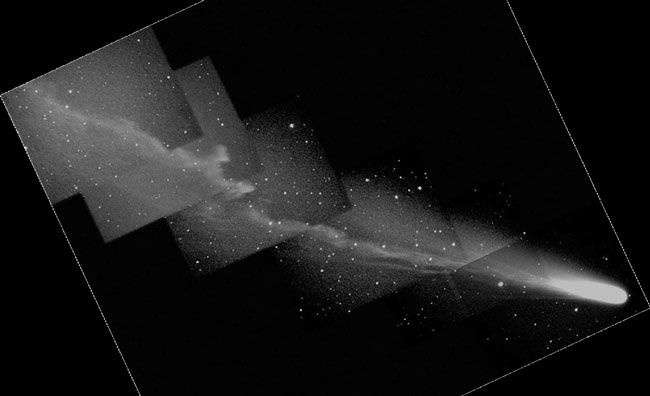Comet Ikeya-Zhangs Busy Tail