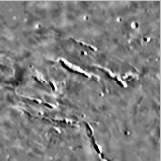 Elysium fossae, Mars. (c) NASA