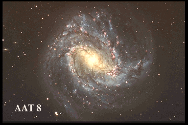 Spiral Galaxy M83 