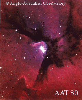 Hot Stars in the Trifid Nebula 