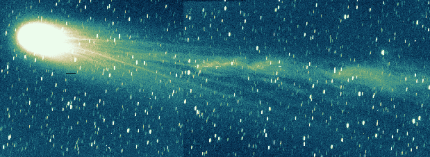 Comet Hyakutake's Past and Future