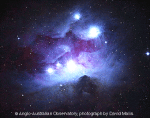 Голубая отражательная туманность в Орионе NGC 1977