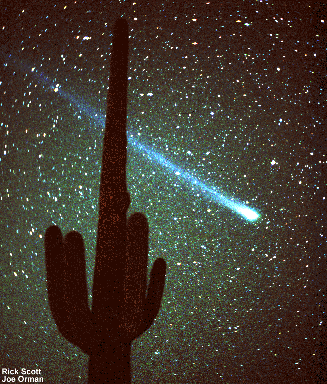 Kometa Hiyakutake i kaktus