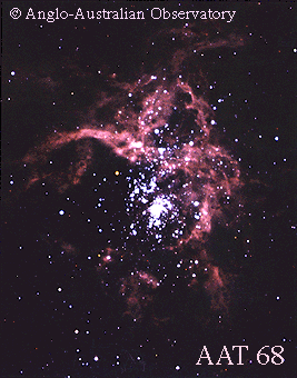 The Violent Star Cluster 30 Doradus 
