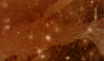 Snimki "Voyadzhera" pomogut "Galileo" issledovat' Ganimed