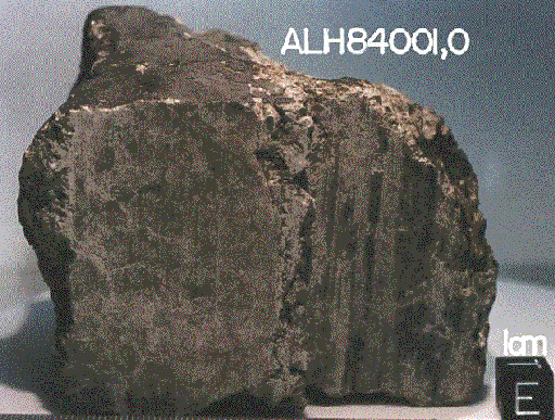 A Meteorite From Mars