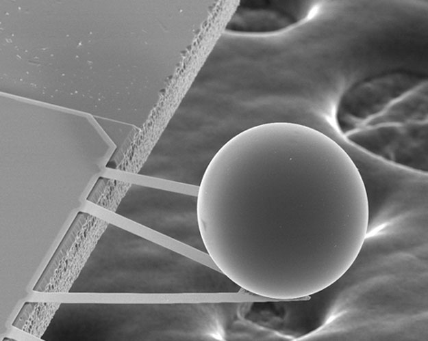 A Force from Empty Space: The Casimir Effect