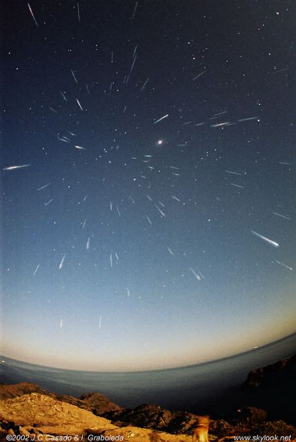 Leonids and Leica