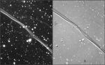 SN 1006: самая яркая сверхновая в истории