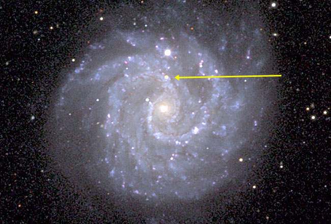 A Gamma Ray Burst Supernova Connection