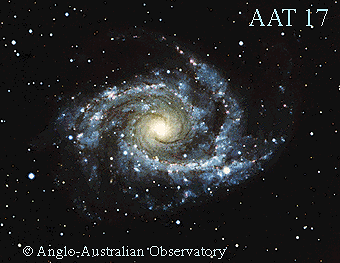 Grand Design Spiral Galaxy NGC 2997