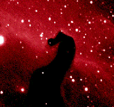 A Close-Up of the Horsehead Nebula