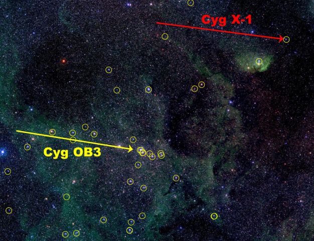 Cyg X-1: mogla li chernaya dyra obrazovat'sya v temnote