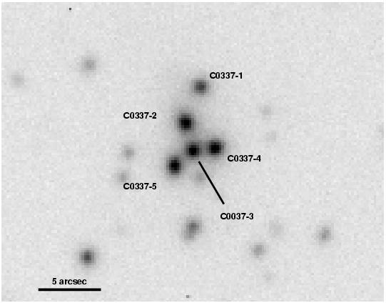 Каннибализм в скоплении галактик C0337-2522 на z=0.59
