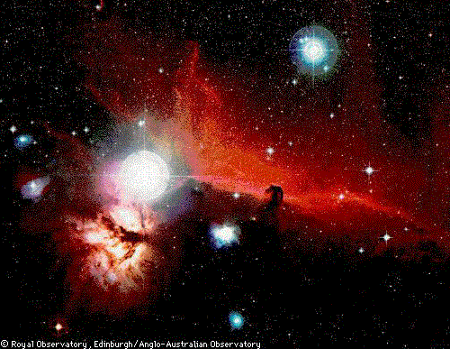 Orion's Horsehead Nebula