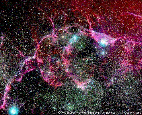 Vela Supernova Remnant in Optical