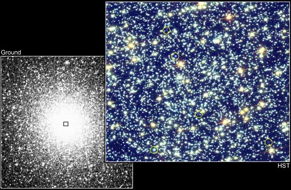 Blue Stagglers in Globular Clusters