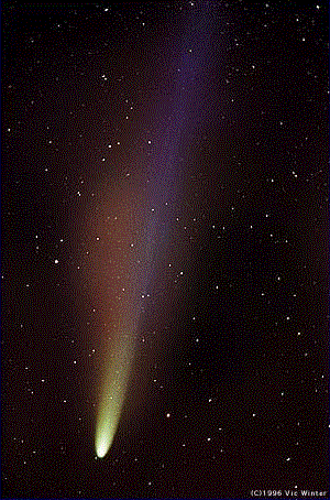 The Tails of Comet Hyakutake