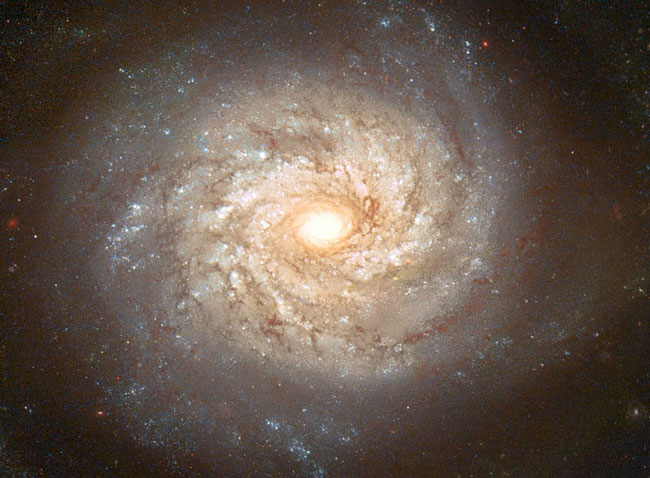 Спиральная галактика NGC 3982 перед взрывом Сверхновой