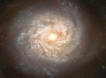 Spiral'naya galaktika NGC 3982 pered vzryvom Sverhnovoi