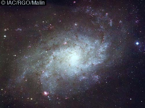 Nearby Spiral M33