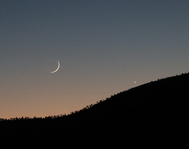 Venus and the 37 Hour Moon