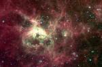 Туманность Тарантул: вид в телескоп Spitzer