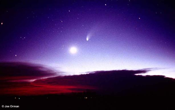 Hale-Bopp: The Crowd Pleaser Comet