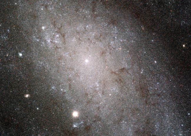 Звезды в NGC 300