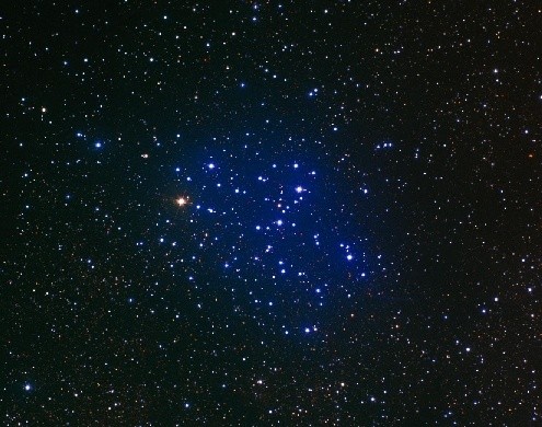 M6: The Butterfly Cluster