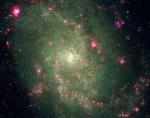 Химические элементы в близкой спиральной галактике M33