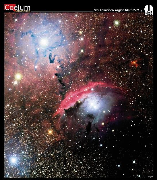 Stars, Dust and Nebula in NGC 6559