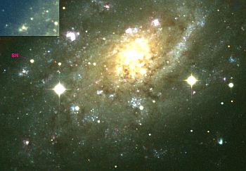Сверхновая в NGC2403
