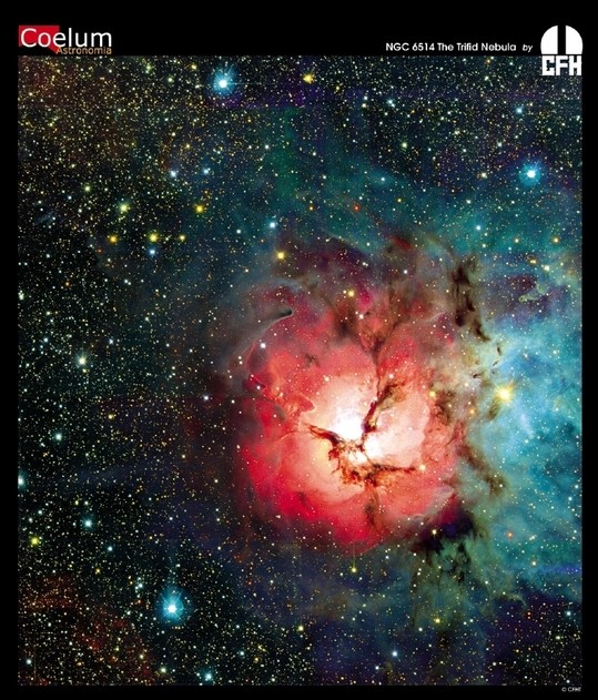 The Trifid Nebula from CFHT