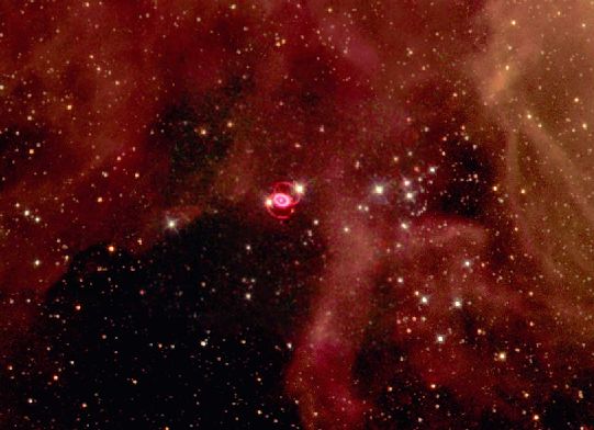 A Supernova Starfield