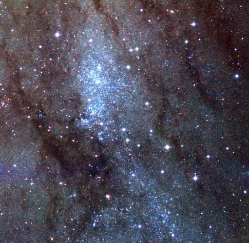 Stars of NGC 206