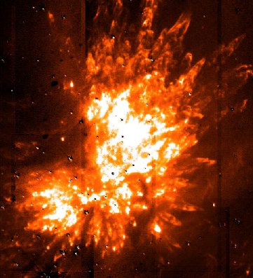 The Kleinmann Low Nebula
