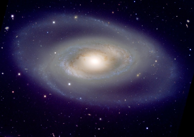 Спиральная галактика NGC 1350