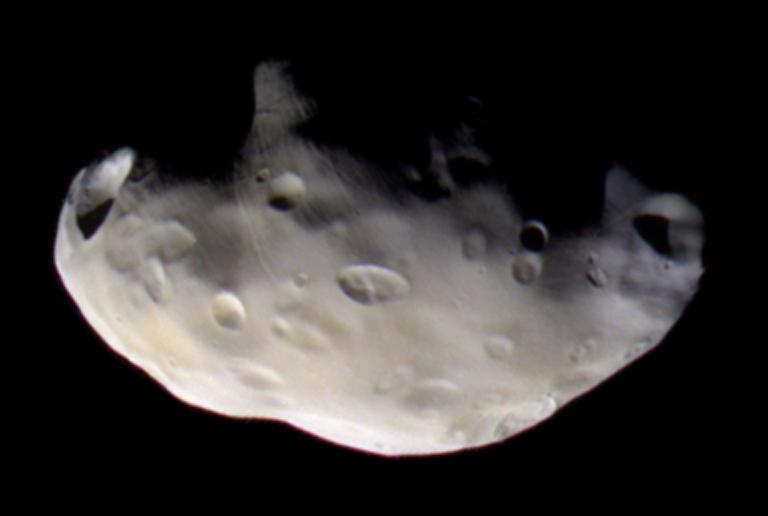 Pandora: A Shepherd Moon of Saturn