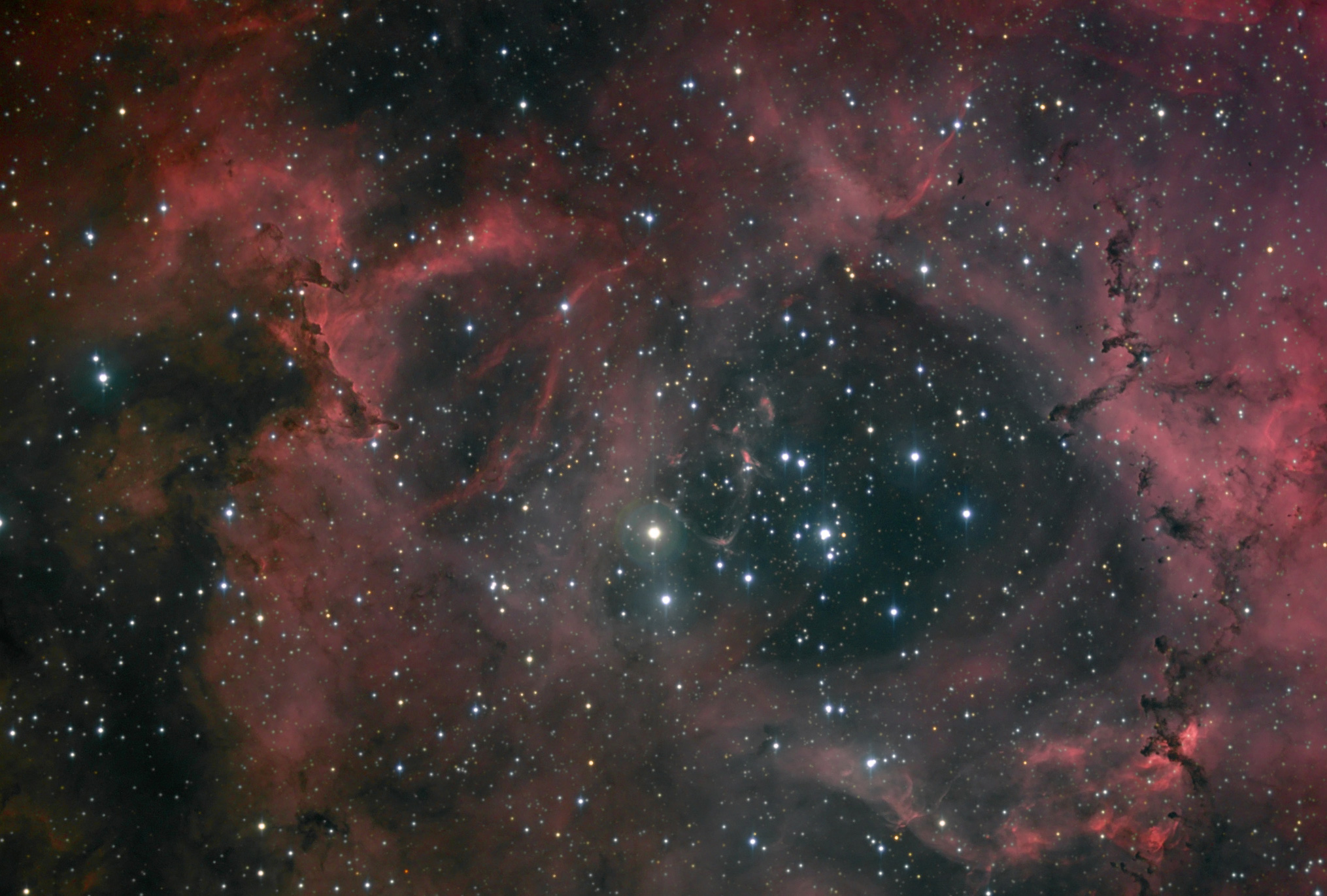 Dust and Light in the Rosette Nebula