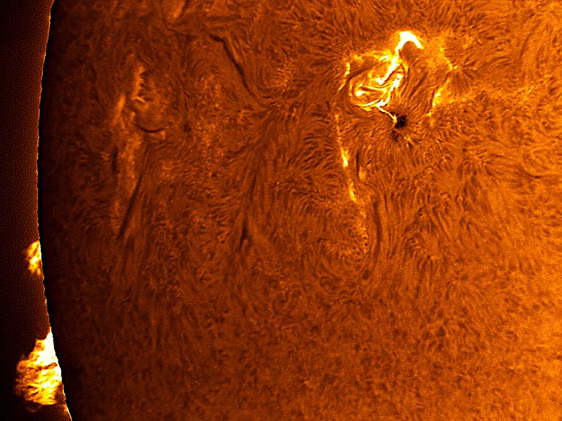 Sunspot 875 Flares